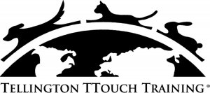Tellington TTouch Training