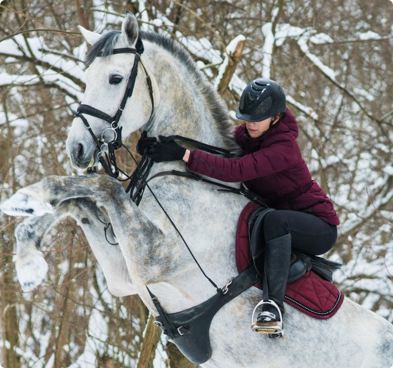 Frau auf Pferd