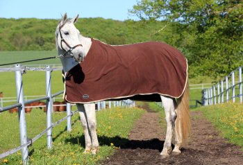 Manski Abschwitzdecke HIGHQUALITY Fleece, chocolate-milk, 155 cm