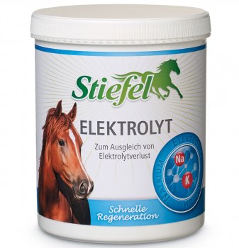 Stiefel Elektrolyt Pulver 1kg Dose