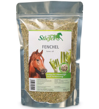 Stiefel Fenchel Körner süß 500g Tüte