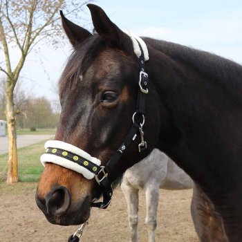 Manski Halfter Smiley, schwarz