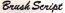 Stickservice Schabracke bis zu 10 Buchstaben Brush Script weiß gerade links
