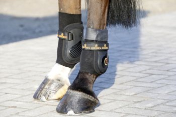 Kentucky Horsewear Sehnenstrümpfe mit Gel schwarz