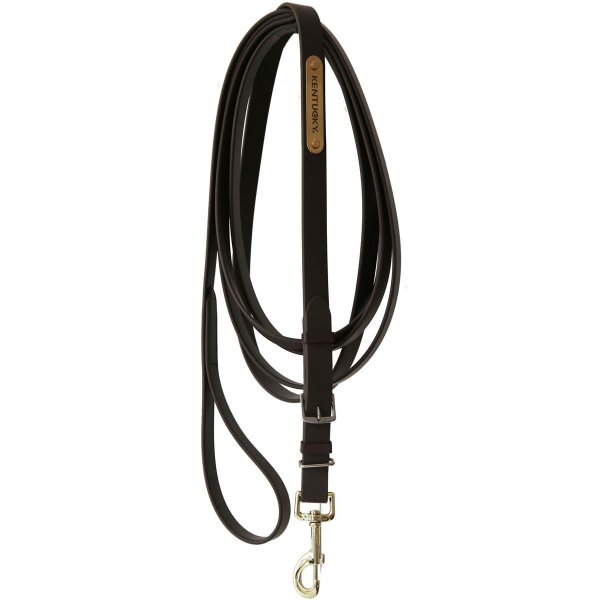 Kentucky Hengstführleine Stallion Lead braun 4m