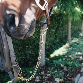 Kentucky Hengstkette Stallion Chain 60cm
