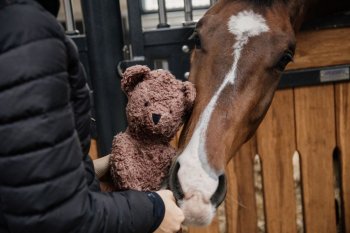 Kentucky Horsewear Relax Horse Toy SOFT BEAR