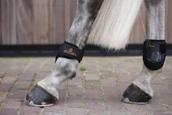 Kentucky Horsewear Streichkappen YOUNG HORSE schwarz