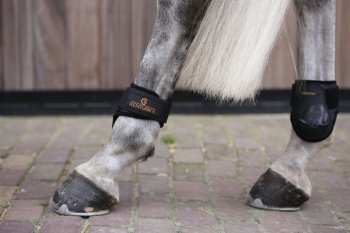 Kentucky Horsewear Streichkappen YOUNG HORSE schwarz