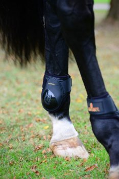 Kentucky Horsewear Streichkappen YOUNG HORSE schwarz