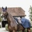 Kentucky Horsewear Ausreitdecke 160g marine