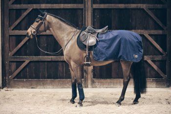 Kentucky Horsewear Ausreitdecke QUADRAT ALL WEATHER 160g...