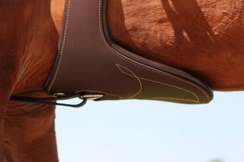 Kentucky Horsewear Stollengurt braun