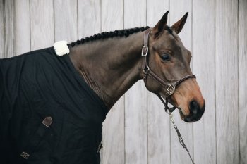 Kentucky Horsewear Baumwolldecke schwarz