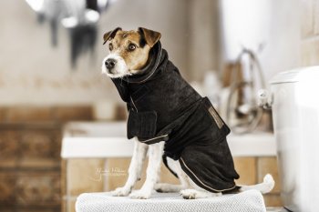 Kentucky Dogwear Hundemantel TOWEL schwarz