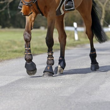 Kentucky Horsewear Hufglocken LEATHER