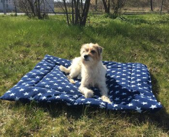 Manski Hundekissen STERNCHEN klein