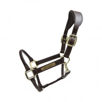 Kentucky Horsewear Lederhalfter ANATOMISCH braun