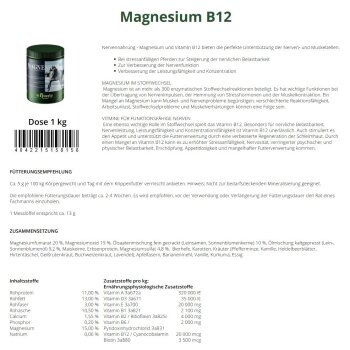 St.Hippolyt Hesta Plus Magnesium 2,5 kg