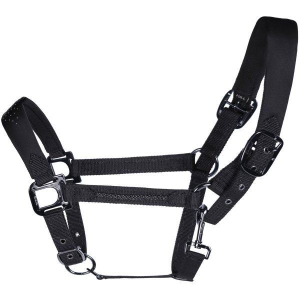 Cavallo Halfter HAMINA, black