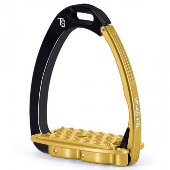 TechStirrups Steigbügel Venice EVO, black/gold