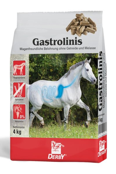 Derby Pferdeleckerlis GASTROLINIS 1kg Beutel