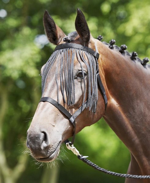 Busse Halfter WEIDE-FRANSEN, schwarz