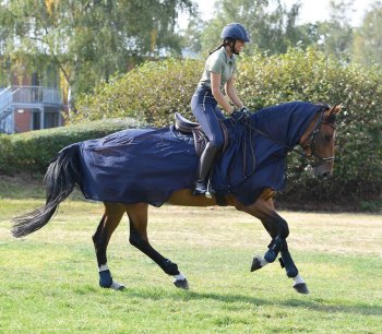 Busse Ausreitdecke FLEXI FLY II, navy