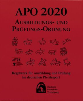 Ausbildungs-Prüfungs-Ordnung 2020 (APO)