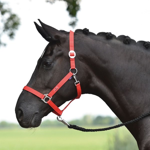 Busse Halfter Hansa, rot VB