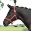 Busse Halfter Hansa, rot VB