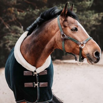 Kentucky Horsewear Abschwitzdecke SHOW HEAVY dunkelgrün