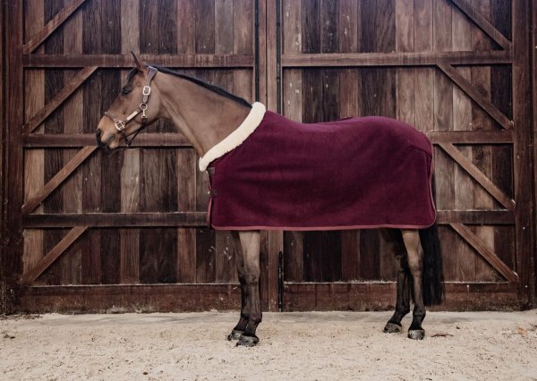 Kentucky Horsewear Abschwitzdecke SHOW HEAVY bordeaux