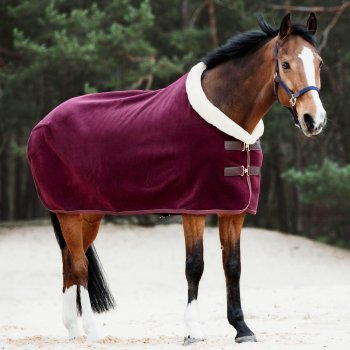 Kentucky Horsewear Abschwitzdecke SHOW HEAVY bordeaux