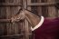 Kentucky Horsewear Abschwitzdecke SHOW HEAVY bordeaux