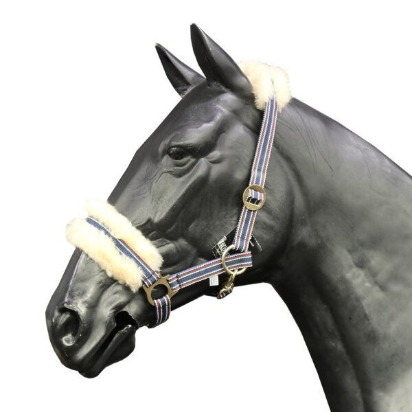 EQuest Halfter Regular Deluxe, river multi PONY
