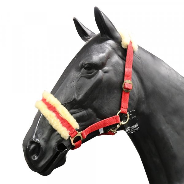 EQuest Halfter Regular Deluxe, rot PONY