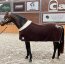 Manski Kombi-Set Eternal Flame, brown-silver 125 Pony