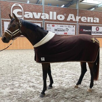 Manski Kombi-Set Eternal Flame, brown-gold 135 Pony