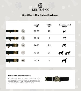 Kentucky Dogwear Hundehalsband CORDUROY dunkelgrün XL