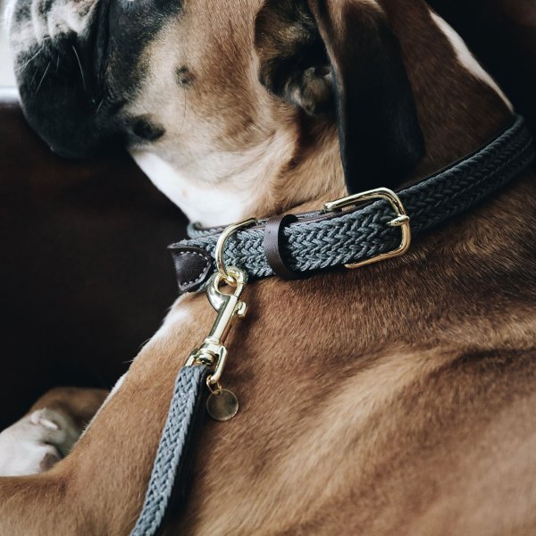 Kentucky Dogwear Nylon-Hundehalsband geflochten, grau