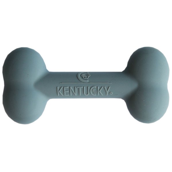 Kentucky Dogwear Hundespielzeug SILIKONKNOCHEN klein