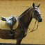 Kentucky Horsewear Schabracke VELVET senfgelb