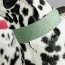 Kentucky Dogwear Hundehalsband JACQUARD olivgrün XS