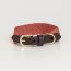 Kentucky Dogwear Hundehalsband JACQUARD terrakotta