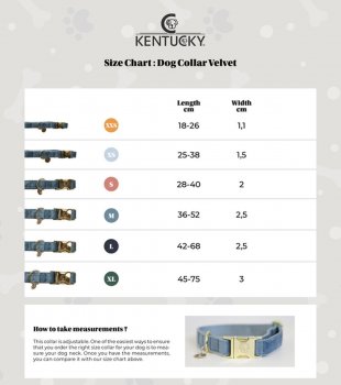 Kentucky Dogwear Hundehalsband VELVET smaragd