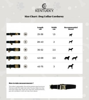 Kentucky Dogwear Hundehalsband CORDUROY rot