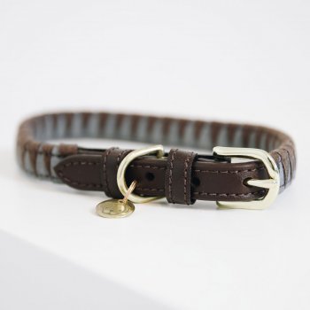 Kentucky Dogwear Hundehalsband TRIANGLE