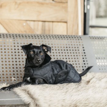 Kentucky Dogwear Hundemantel ORIGINAL schwarz