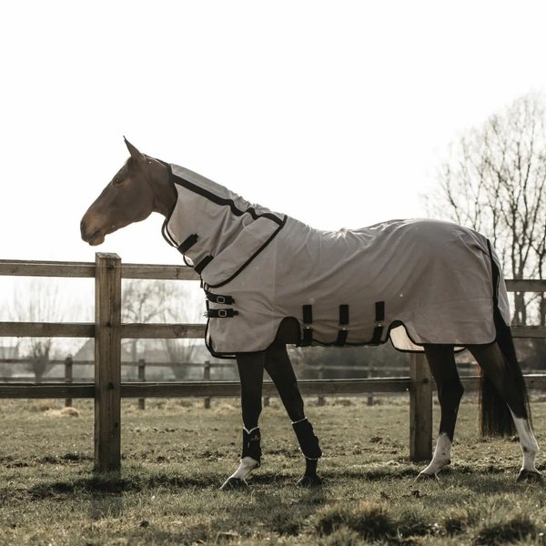 Kentucky Horsewear Fliegendecke beige